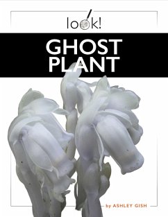 Ghost Plant - Gish, Ashley Ghost Plant - Gish, Ashley