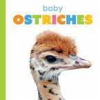 Baby Ostriches