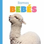 Llamas Bebés