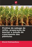 Pirólise do sabugo de milho, preparação de biochar e estudo do crescimento das plântulas Pirólise do sabugo de milho, preparação de biochar e estudo do crescimento das plântulas
