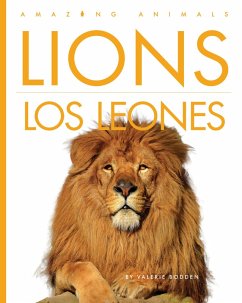 Cover Lions / Los Leones