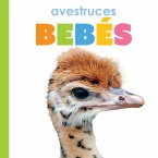 Avestruces Bebés