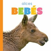 Alces Bebés Alces Bebés