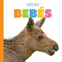 Cover Alces Bebés