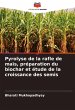 Pyrolyse de la rafle de maïs,... - Bild 1