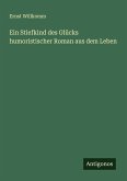 Ein Stiefkind des Glücks humoristischer Roman aus dem Leben