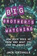Big Brother's Watching - Bild 1