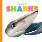 Baby Sharks Baby Sharks