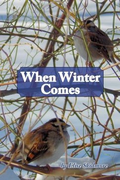 When Winter Comes - Skidmore, Elise