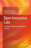 Open Innovation Labs (eBook, PDF)