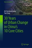 30 Years of Urban Change in China’s 10 Core Cities (eBook, PDF)