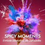 Spicy Moments - Erotische Geschichten, die Lust machen - spicy moments (MP3-Download)