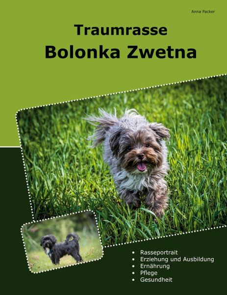 Traumrasse Bolonka Zwetna (eBook, ePUB)