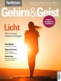 Gehirn&Geist 1/2025 Licht (eBook, PDF) Gehirn&Geist 1/2025 Licht (eBook, PDF)