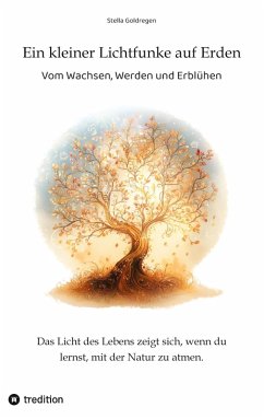 Cover Ein kleiner Lichtfunke auf Erden