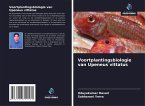 Voortplantingsbiologie van Upeneus vittatus Voortplantingsbiologie van Upeneus vittatus