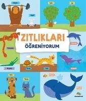 Zitliklari Ögreniyorum - Kolektif