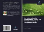 Een internationale vergelijkende studie van microfinanciering in Marokko en Egypte Een internationale vergelijkende studie van microfinanciering in Marokko en Egypte
