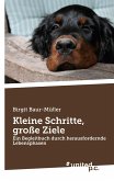 Kleine Schritte, große Ziele Kleine Schritte, große Ziele