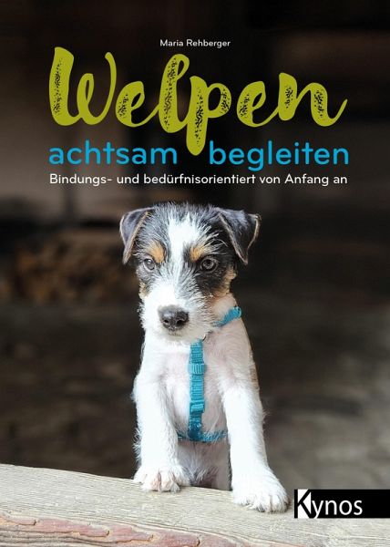 Welpen achtsam begleiten Welpen achtsam begleiten
