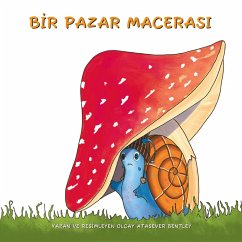 Cover B¿R PAZAR MACERASI