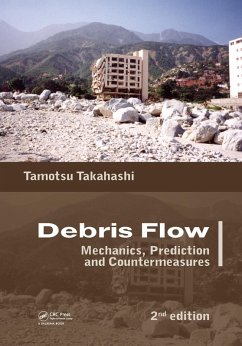 Cover Debris Flow (eBook, ePUB)