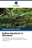 Kaffee-Agroforst in Äthiopien Kaffee-Agroforst in Äthiopien