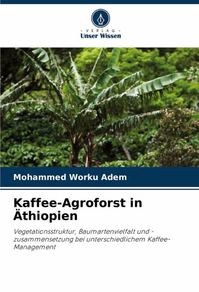Kaffee-Agroforst in Äthiopien Kaffee-Agroforst in Äthiopien