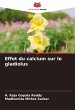 Effet du calcium sur le gladiolus - Bild 1