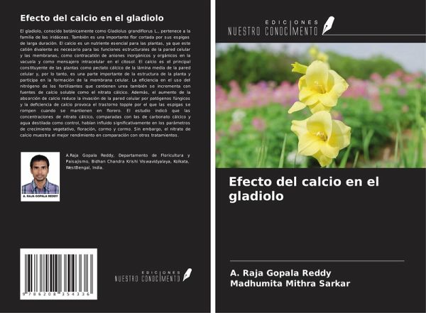 Efecto del calcio en el gladiolo Efecto del calcio en el gladiolo