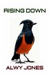Rising Down - Bild 1