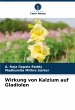 Wirkung von Kalzium auf Gladiolen - Bild 1