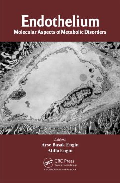 Cover Endothelium (eBook, ePUB)