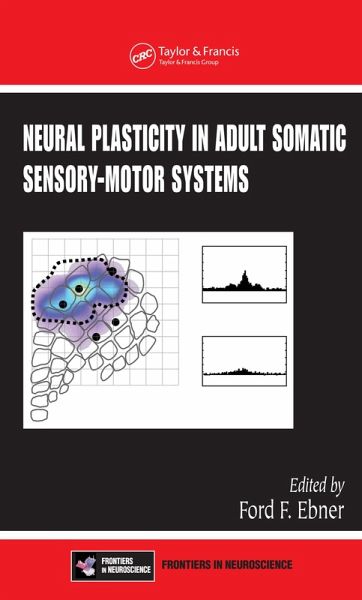 Neural Plasticity in Adult Somatic Sensory-Motor Systems (eBook, ePUB)