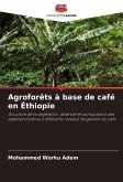 Agroforêts à base de café en Éthiopie Agroforêts à base de café en Éthiopie