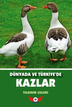 Cover Dünyada Ve Türkiyede Kazlar