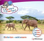 Lesestart mit Eberhart: Elefanten - echt enorm Lesestart mit Eberhart: Elefanten - echt enorm