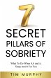7 SECRET PILLARS OF SOBRIETY - Bild 1