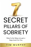 7 SECRET PILLARS OF SOBRIETY