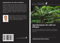 Cover Agrobosques de café en Etiopía