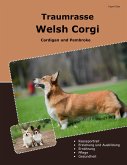 Traumrasse Welsh Corgi Traumrasse Welsh Corgi