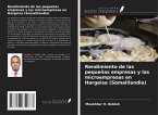 Rendimiento de las pequeñas empresas y las microempresas en Hargeisa (Somalilandia) Rendimiento de las pequeñas empresas y las microempresas en Hargeisa (Somalilandia)