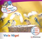 Lesestart mit Eberhart: Viele Vögel