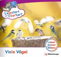 Cover Lesestart mit Eberhart: Viele Vögel