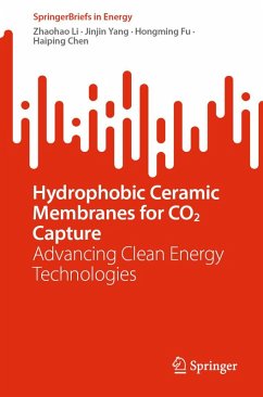 Cover Hydrophobic Ceramic Membranes for CO2 Capture (eBook, PDF)