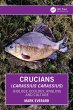 Crucians (Carassius carassius) (eBook,... - Bild 1