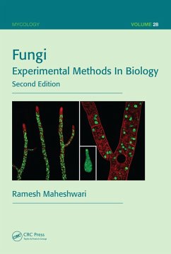 Cover Fungi (eBook, ePUB)
