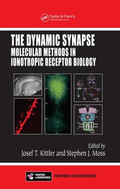 Cover The Dynamic Synapse (eBook, ePUB)