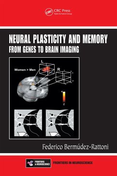 Neural Plasticity and Memory (eBook, ePUB)