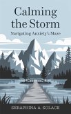 Calming the Storm (eBook, ePUB)